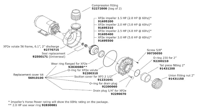 Pump Gecko FLO-MASTER XP2E CE, 1,5HP, 2-speed